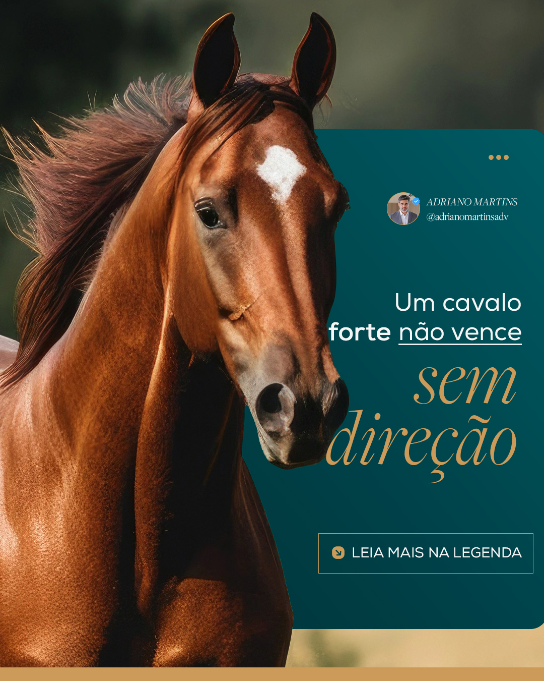 Um-cavalo-forte-não-vence-sem-direção-ADRIANO-MARTINS